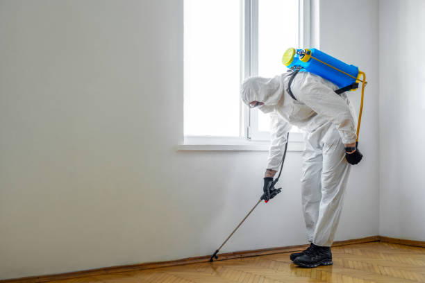 Best Pest Prevention Services  in USA